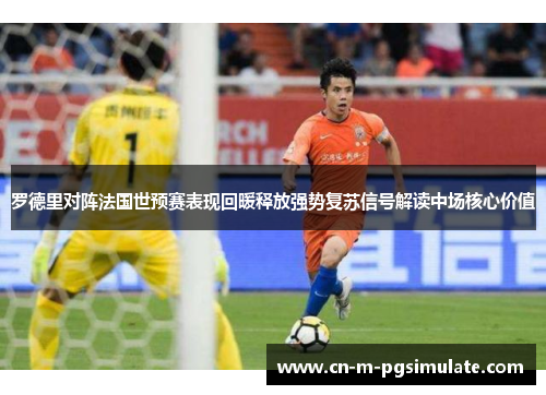 罗德里对阵法国世预赛表现回暖释放强势复苏信号解读中场核心价值