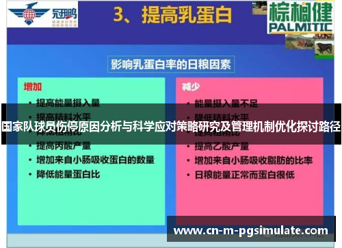 国家队球员伤停原因分析与科学应对策略研究及管理机制优化探讨路径