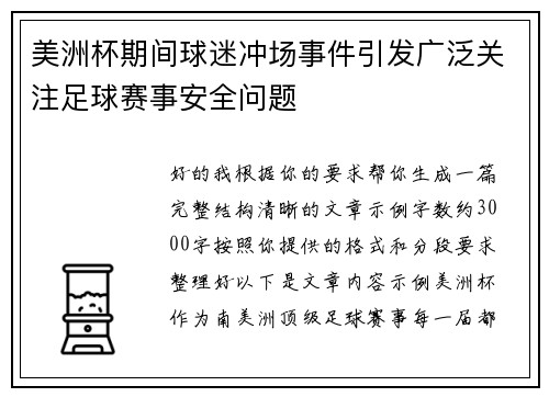 美洲杯期间球迷冲场事件引发广泛关注足球赛事安全问题 美洲杯期间球迷冲场事件引发广泛关注足球赛事安全问题